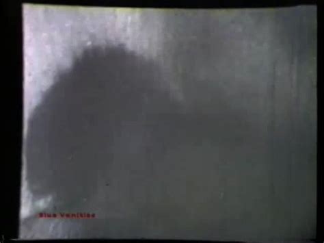 Classic Stags 123 Hardcore Rated X 50s 60s All B W By Blue Vanities HotMovies