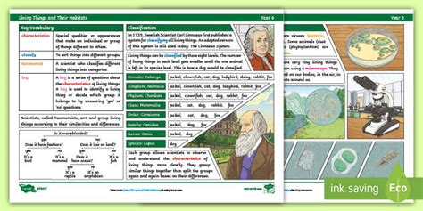 Living Things And Their Habitats Year Classifying Organisms 58 OFF