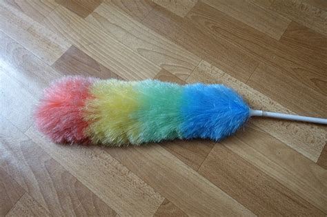 Метелка для пыли и какое отношение к этому имеет пипидастр