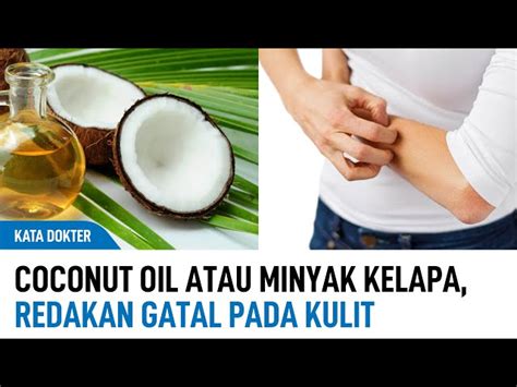 Ketahui 7 Manfaat Minyak Kelapa Untuk Kulit Gatal Yang Bikin Kamu Penasaran