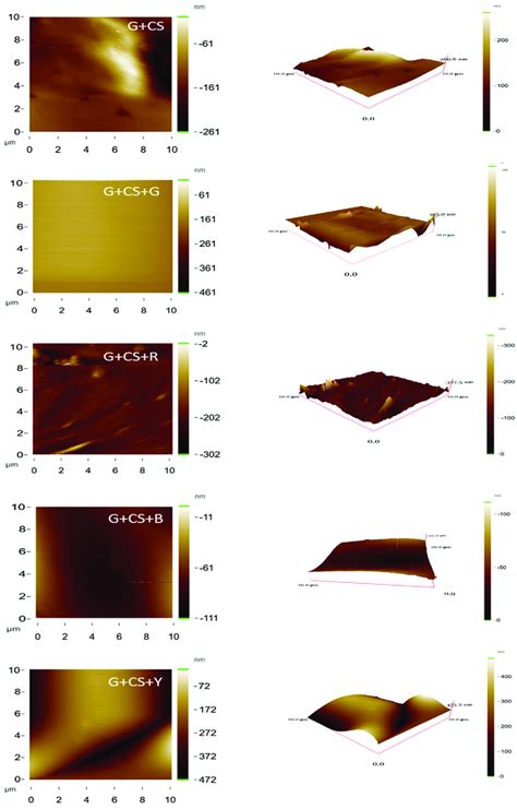 typical afm images showing   dimensional structure  afm images