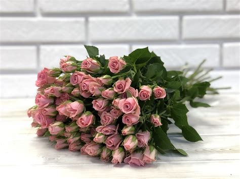 Маленькие розы (49 фото)