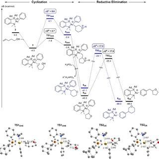 Energy Profiles G In Kcal Mol For The Exo Black Endo Blue