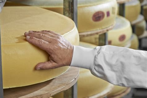 Transparence Et Alimentation Sodiaal Fromages Solutions