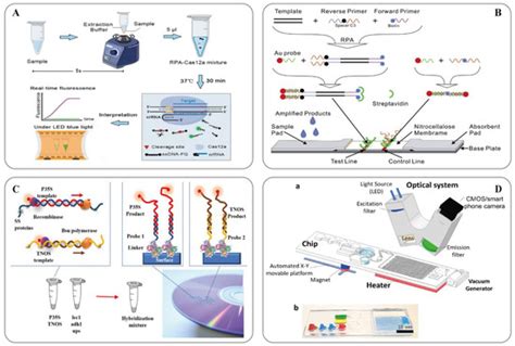 Ijms Free Full Text Research Progress Of Nucleic Acid Detection