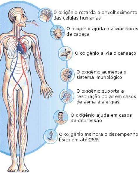 Para Que Serve O Oxigenio - Benefícios do oxigênio para o corpo - SaÃºde do corpo, mente e espÃ ...