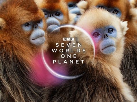 Watch Seven Worlds One Planet Season 1 Prime Video