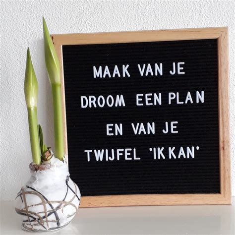 Plaatjes Met Motivatie Spreuken En Positieve Quotes Nederlands 2 Artofit