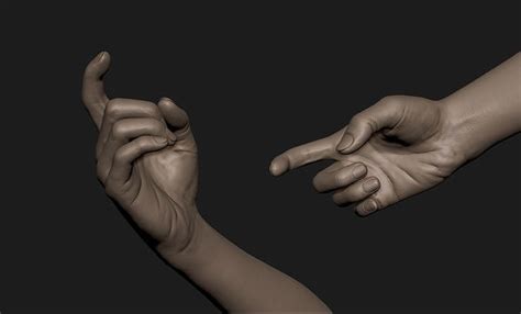 Realistic Female Hand Sculpt 8 3d Model Cgtrader