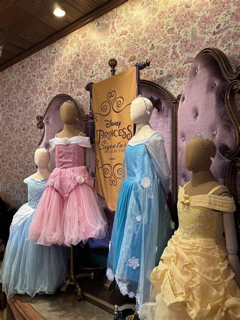 Every Bibbidi Bobbidi Boutique Dress Option with Prices (2026)