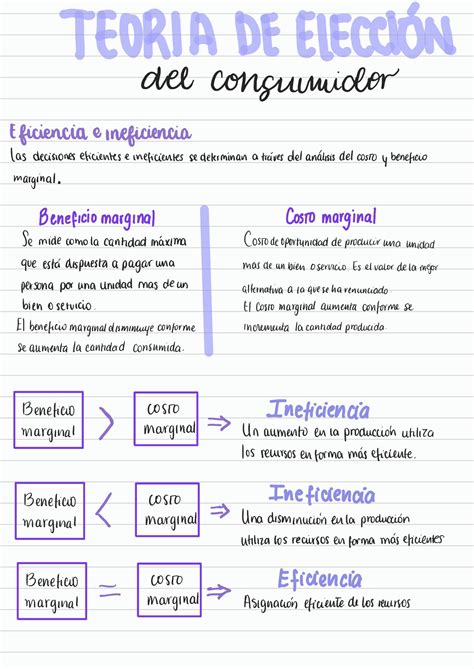 Solution Teor A Del Consumidor Studypool