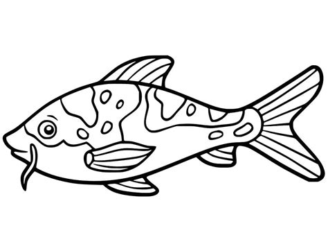 Ikan Koi Kartun