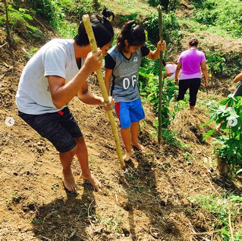 Seeds Of Resistance A Personal Account Of The Lumad Struggle For Land