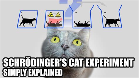 What Is Schrödinger S Cat Experiment Simply Explained Youtube