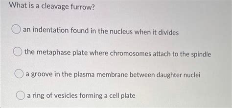Solved Males Are More Often Affected By Sex Linked Traits Chegg