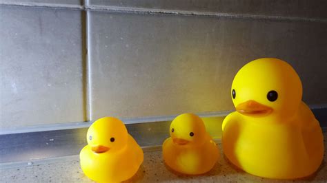 #3010324 / baby, bath, duck, duck family wallpaper