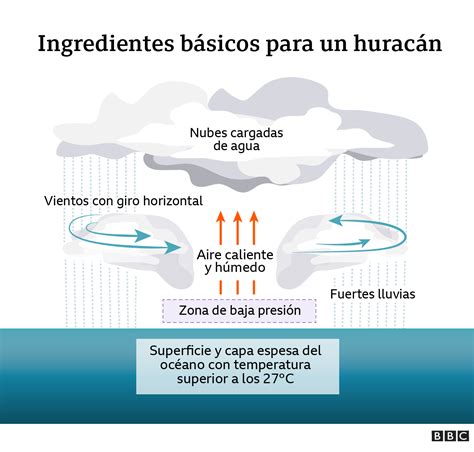 Cómo Se Forman Los Huracanes Y Por Qué Son Tan Frecuentes En México