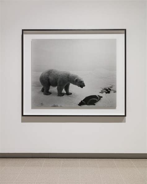 Hiroshi Sugimoto At Hayward Gallery Curator Introduction From Ralph Rugoff