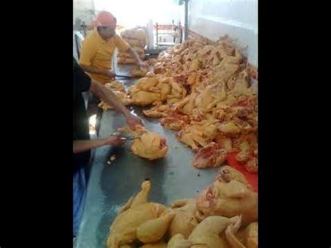 Los mejores polleros de la zona sur - YouTube
