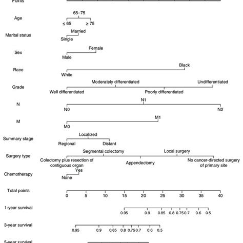 Prognostic Nomograms Of 1 3 And 5 Year Cancer Specific Survival For