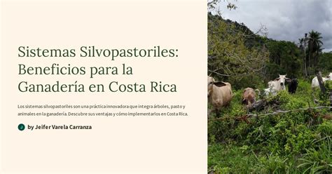 Sistemas Silvopastoriles Beneficios para la Ganadería en Costa Rica