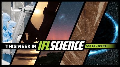 NASA Opens Lid Of Asteroid Sample Capsule, Preserved Proteins Found ...