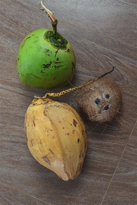 Three Different Coconuts On Table Stock Photo Image Of Detoxication