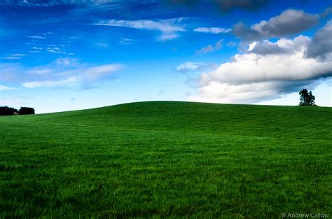 Green Grassy Field Hd Wallpaper Wallpaper Flare
