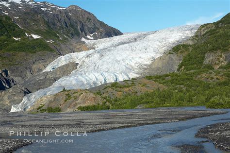 Exit Glacier Kenai Fjords National Park Alaska 19270