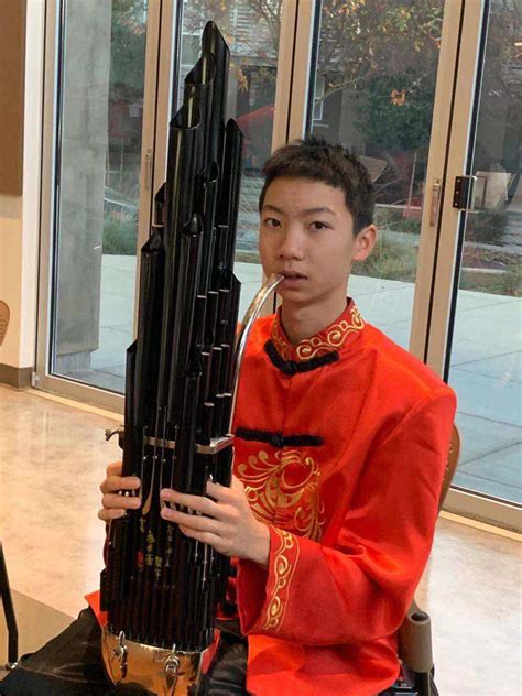 Sheng Instrument