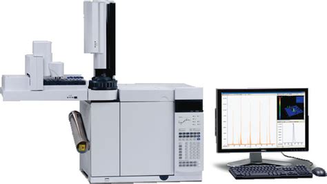 Gas Chromatograph Ecd Laboratory Ritm Industry