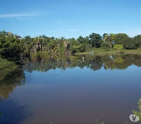 Fazenda Tarefas Sede Nova Boas Aguadas Piscina OFERTAS