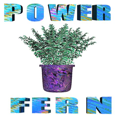 Fern GIFs - Find & Share on GIPHY