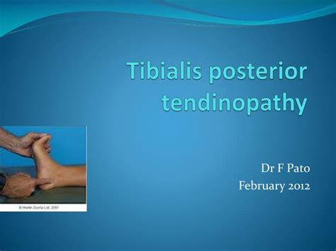 Concentric Eccentric Training Of The Posterior Tibialis | EOUA Blog