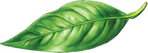 Компания Pinch&Drop - это высокое качество продукции