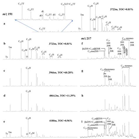 Minerals Free Full Text Geochemical Characterization Of The Eocene