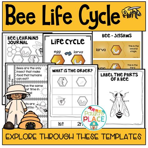 All 95 Images What Is The Life Cycle Of A Bee Stunning