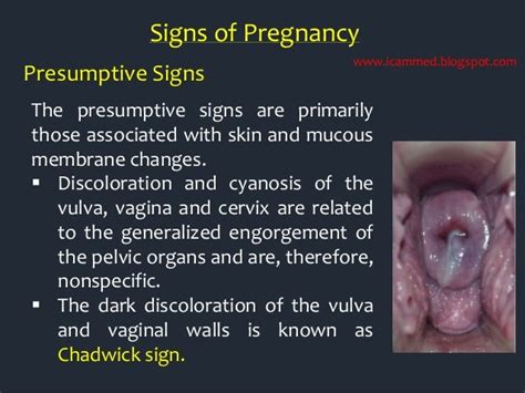 Clinical Obstetrics History And Examination