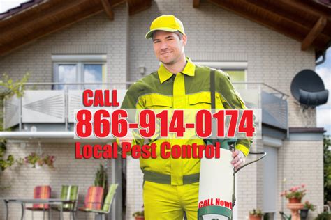 Pest Control near me Springfield LA 70462 - Pest Control