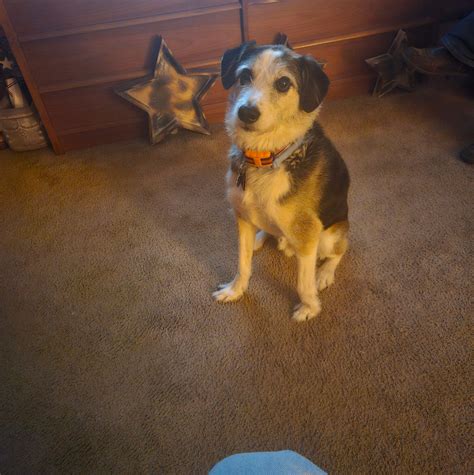 A recent newspaper article caught my attention, stating that the city