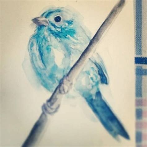 Little blue sparrow by TariWonka.deviantart.com on @DeviantArt ...