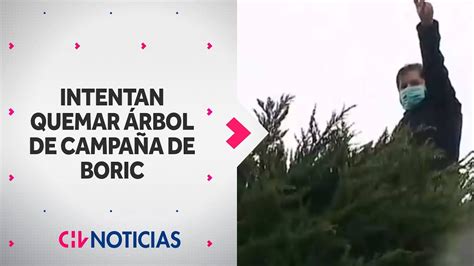 Intentaron Quemar Rbol De Punta Arenas Que Fue Cono De Campa A Del