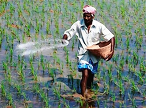 Why The Government Introduced ‘bharat Brand Fertiliser Under The