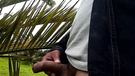 Cum In Park Colombian Gay Public Amateur Porn XHamster