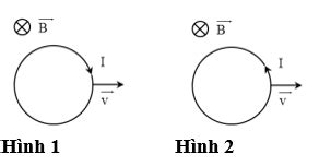 H Nh V N O Sau Y X C Nh Ng Chi U D Ng I N C M Ng Khi Cho V Ng