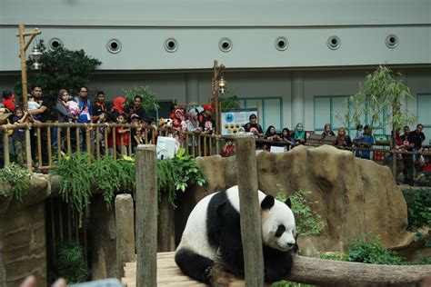 5 Little Angels Xing Xing Birthday Celebration At Zoo Negara