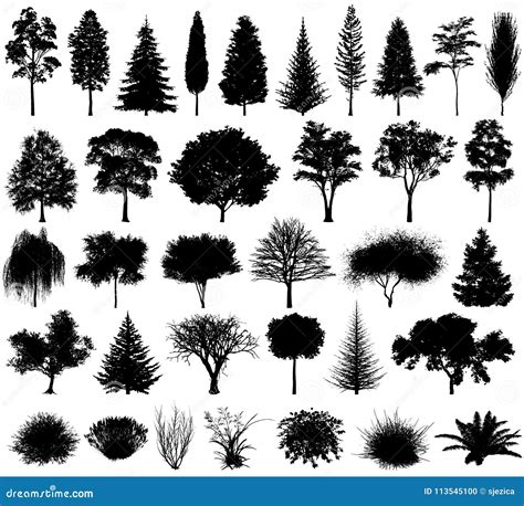 Vector Various Trees And Shrubs Silhouette Eps 10 Stock Vector