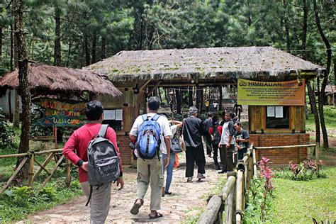 Curug Cipamingkis offers tourists fresh forest atmosphere - National ...