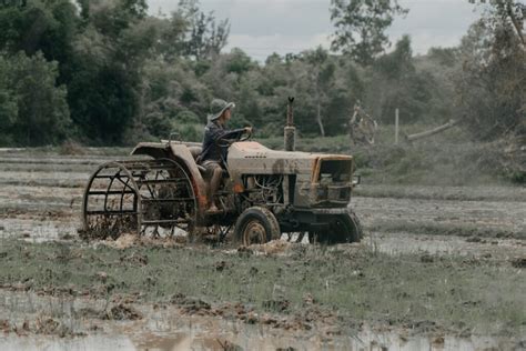 Assurance Agricole Et Gestion Des Risques Wikifarmer