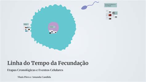 Quanto Tempo Leva Para Fecundação - Linha do Tempo da Fecundação by Thais Ferreira on Prezi